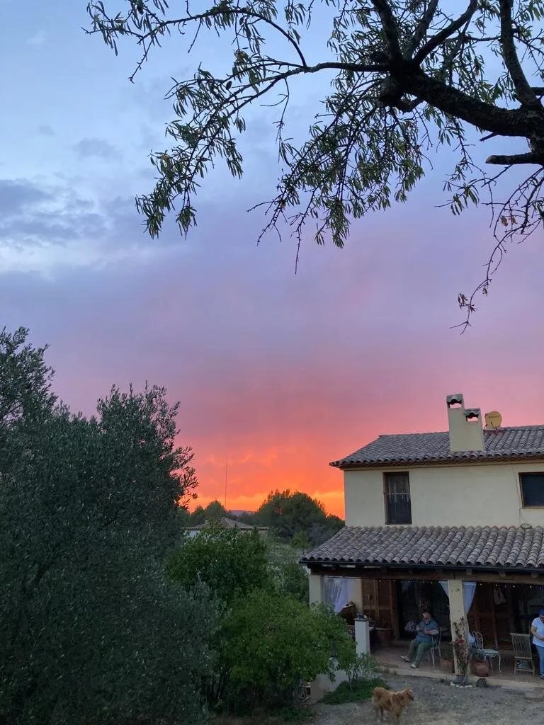 Vi l'Art Wine Lodge