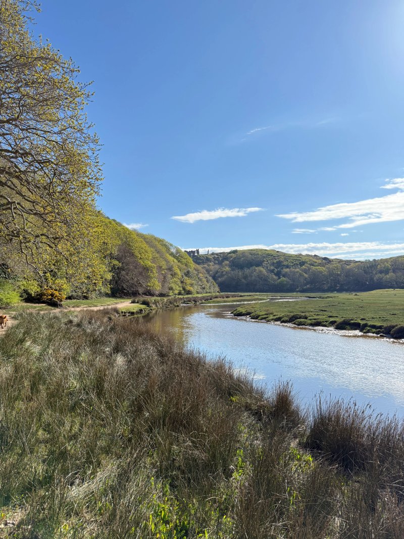 Three Cliffs Bay Holiday Park