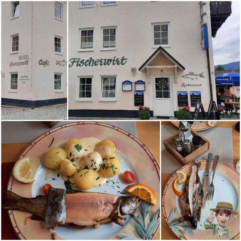 Grenzwald Fischerwirt