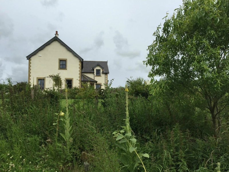 Brae House Bed And Breakfast