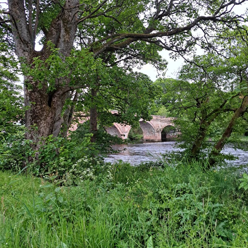 Beauly Holiday Park