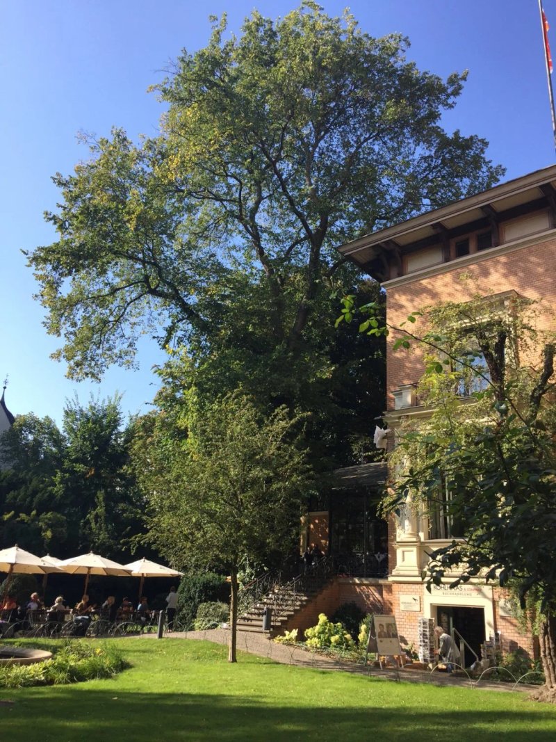 Wintergarten im Literaturhaus