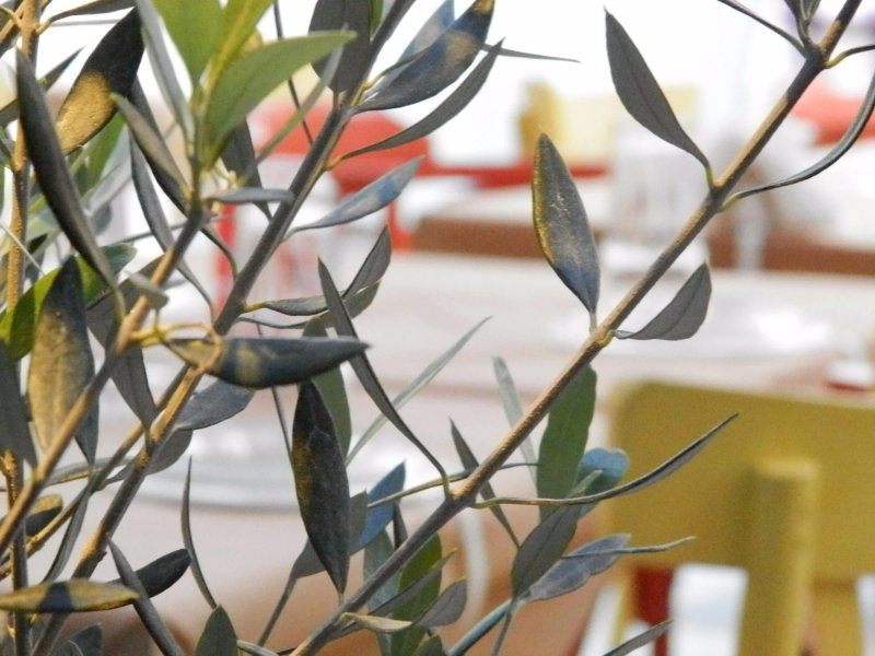 Seminario Restaurant