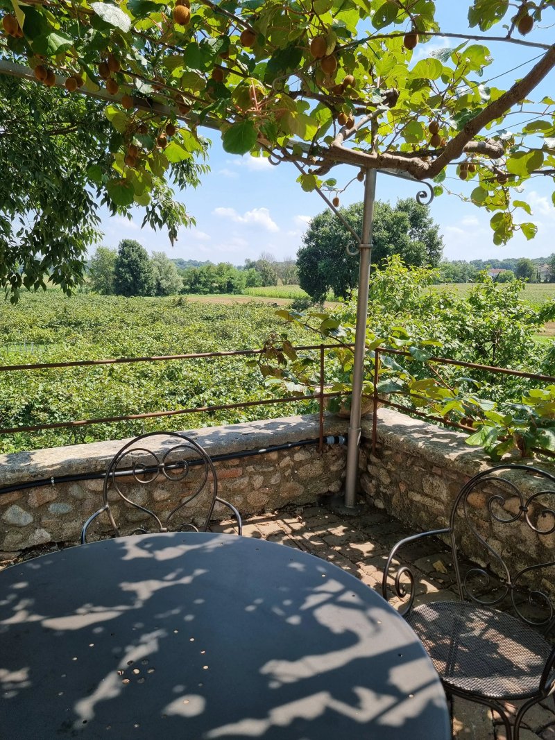 Agriturismo Corte Olfino