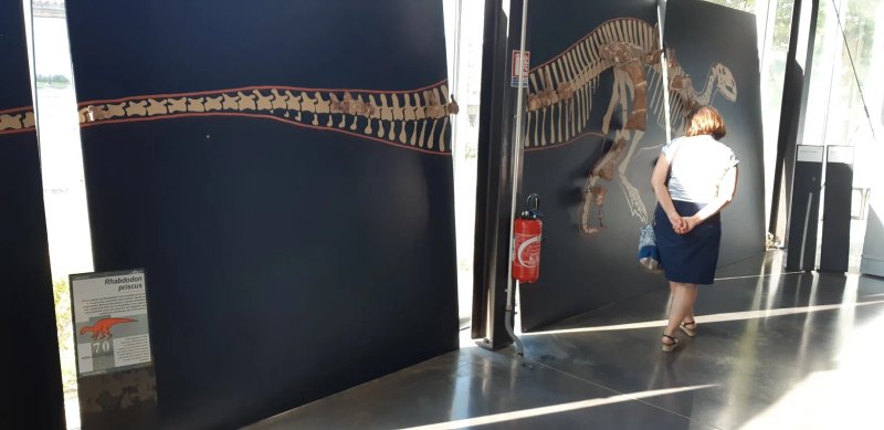 Musee des Dinosaures 'Dinosauria'