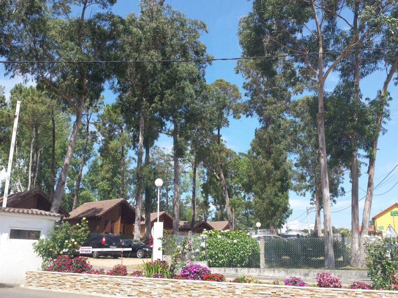 Camping Cachadelos