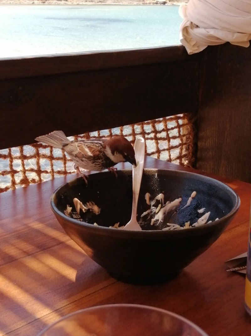 Singita Miracle Beach