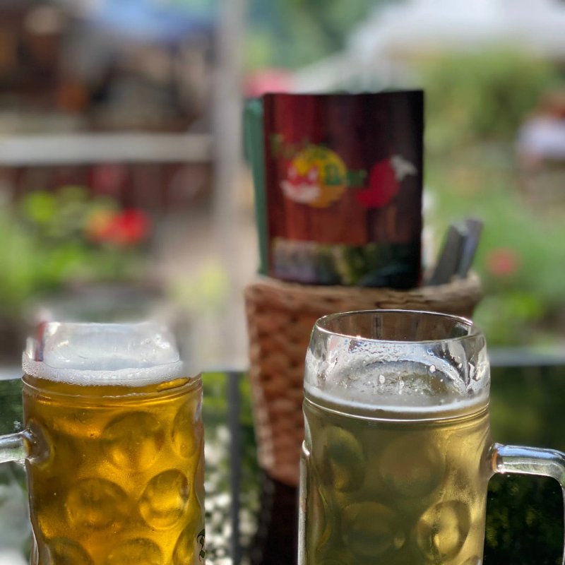 Fuchs Bar