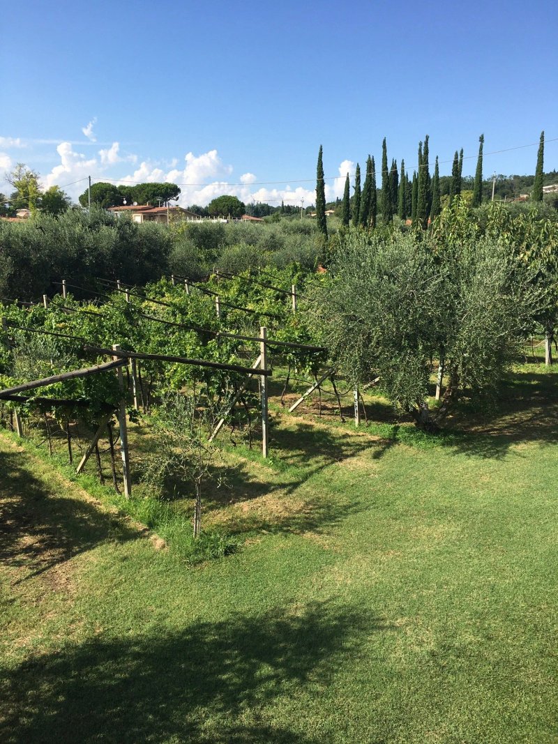 B&B Agriturismo Soleluna