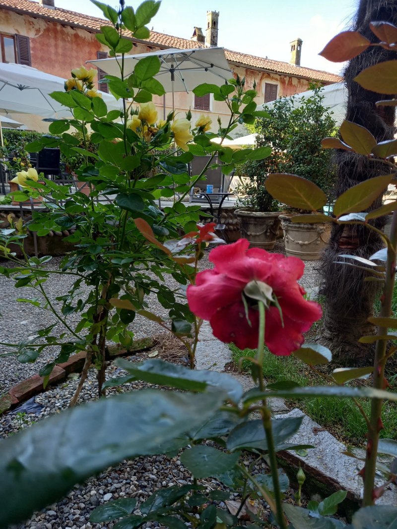 Al Castello Resort