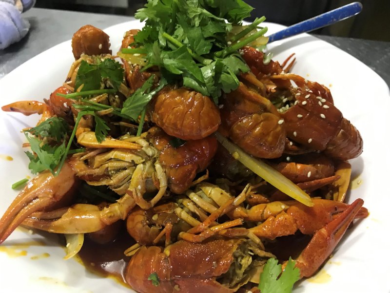 Live Seafood Limited