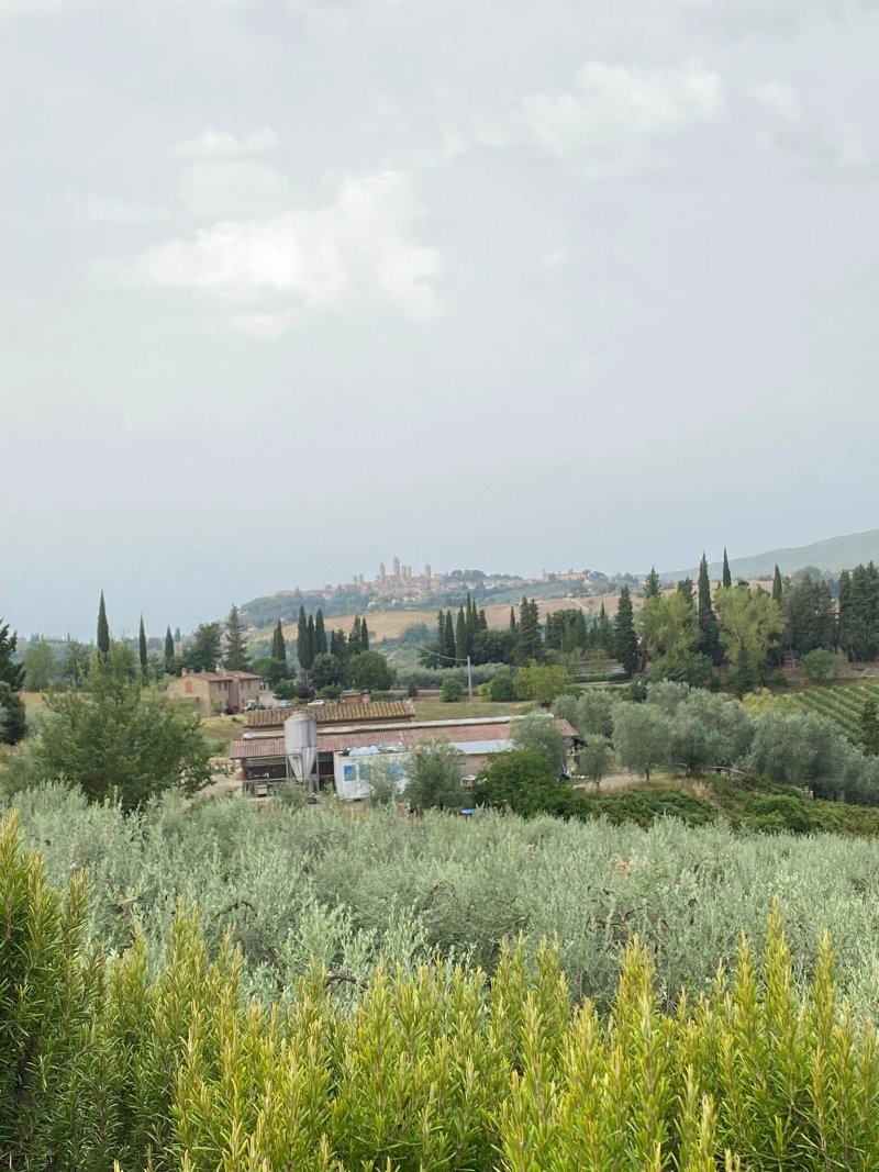 Agriturismo Montegonfoli