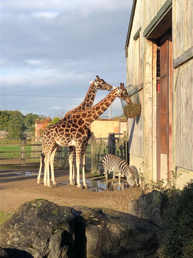 Flamingo Land Resort Yorkshire