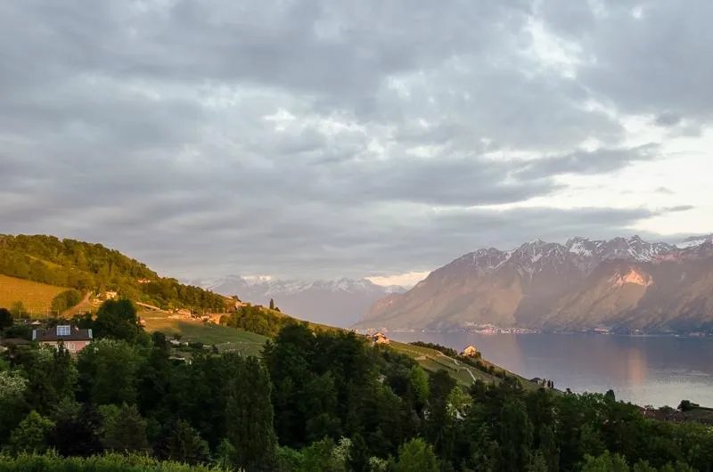 Le Haut des Vignes