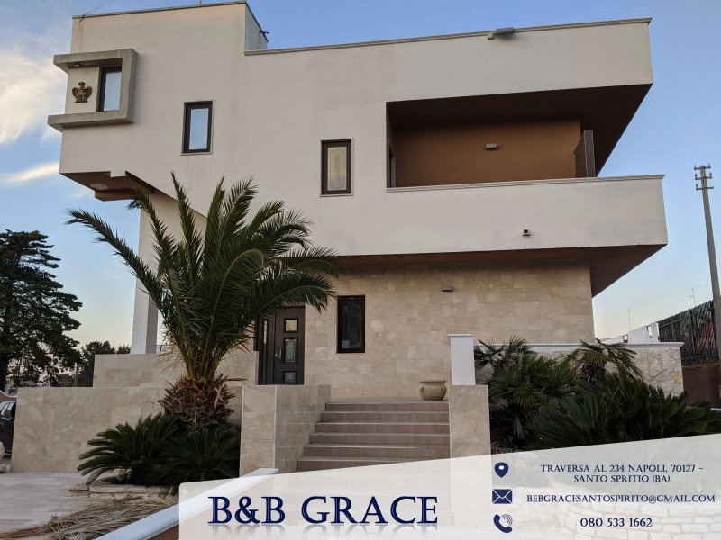 B&B Grace