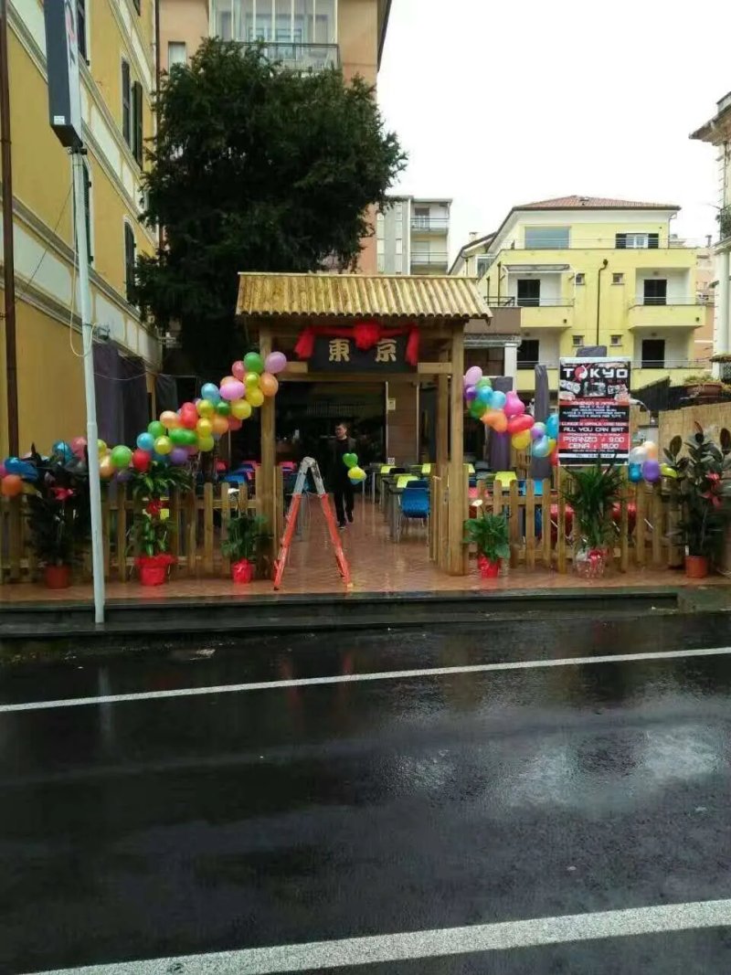 Tokyo Sushi loano