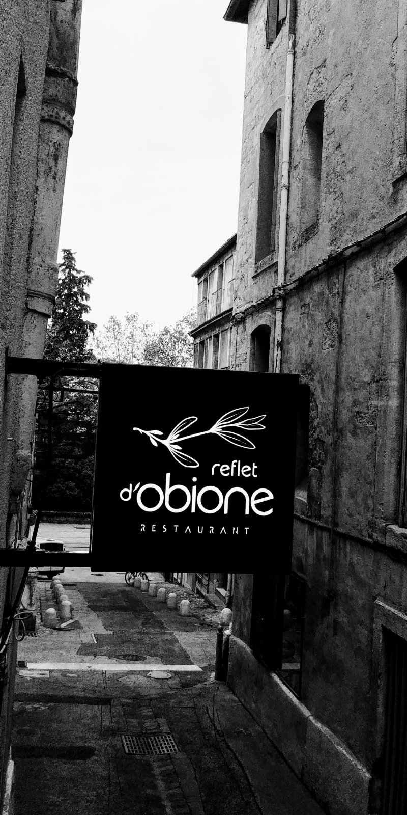Reflet d'Obione
