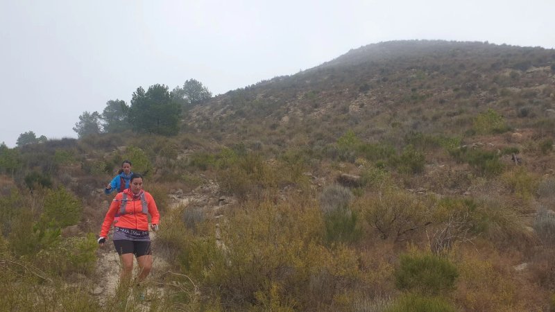 Cabezo del Buitre