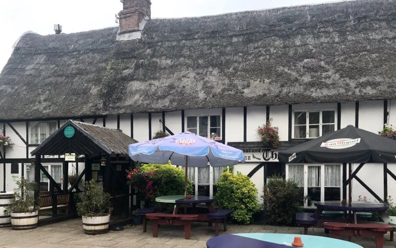 The Willow House