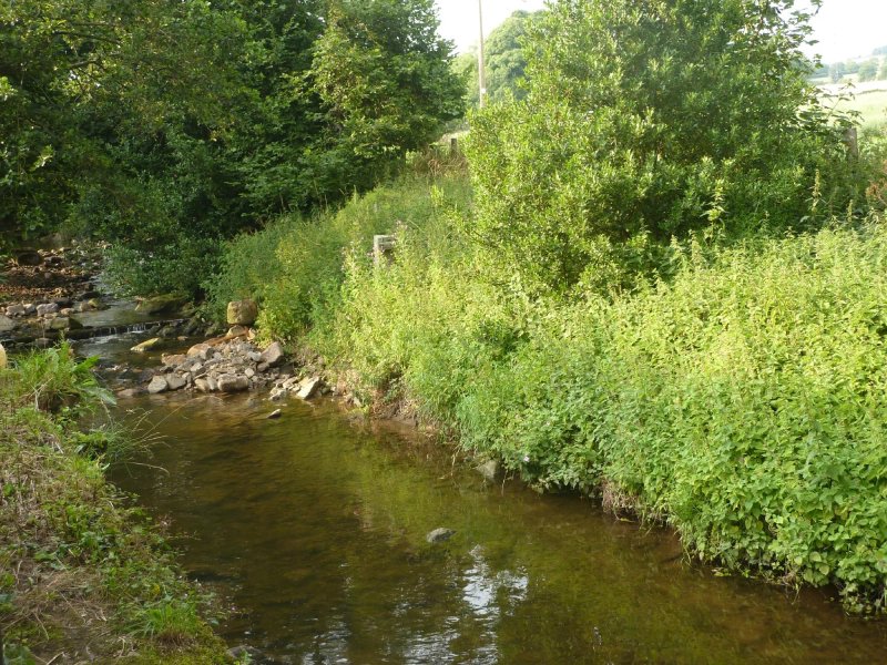 Bradley Burn Cottages