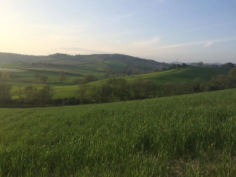 Agriturismo da Remo