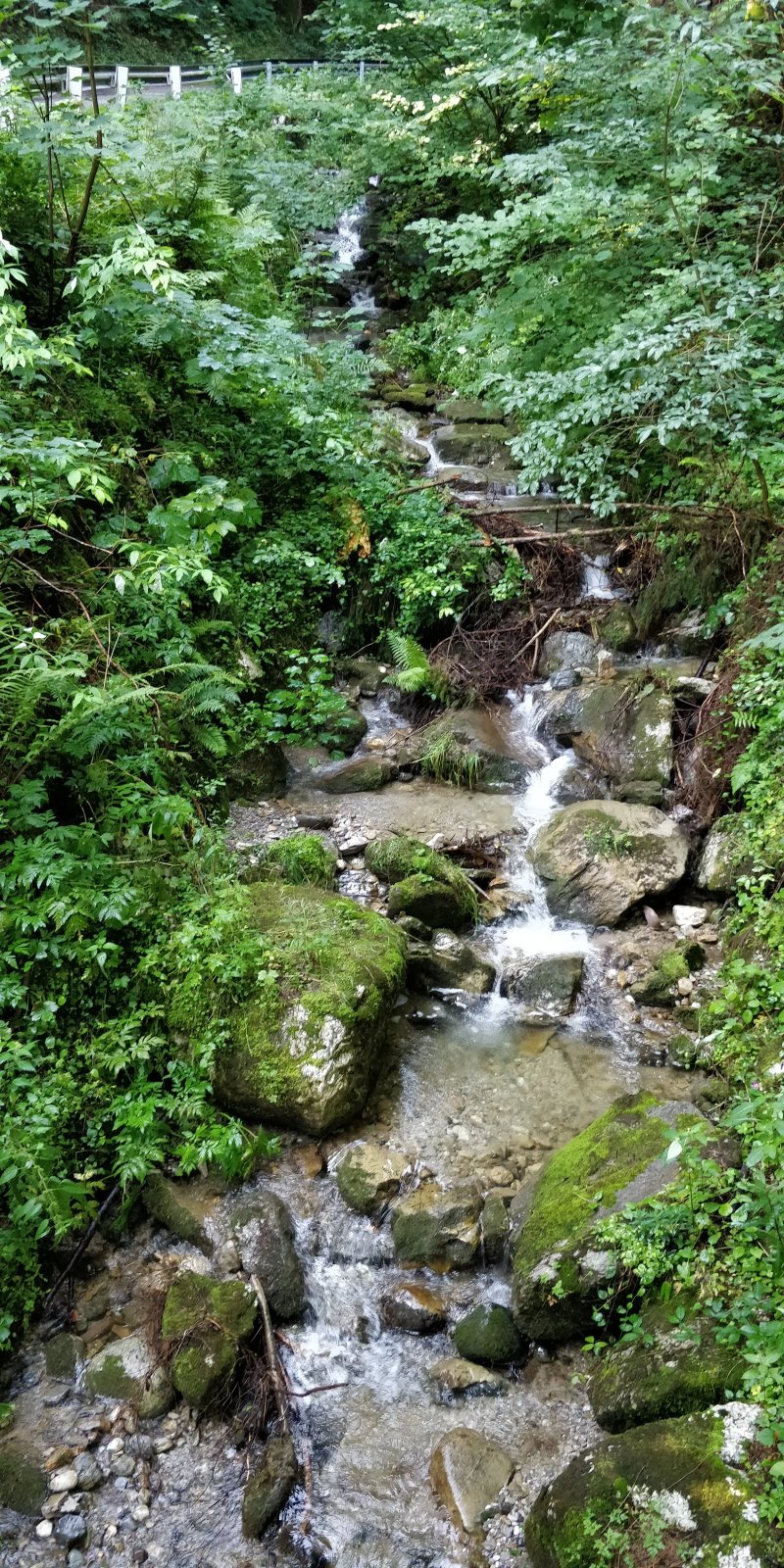 Annaberger Musikantenwirt Landgasthof