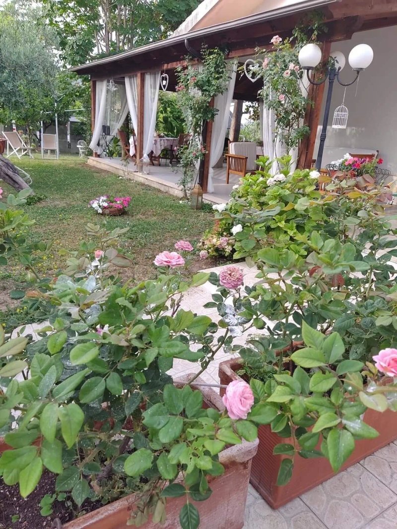 Villa Carol