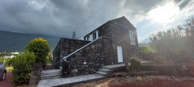 Adegas do Pico