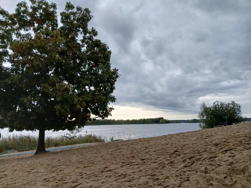 Familienpark Senftenberger See