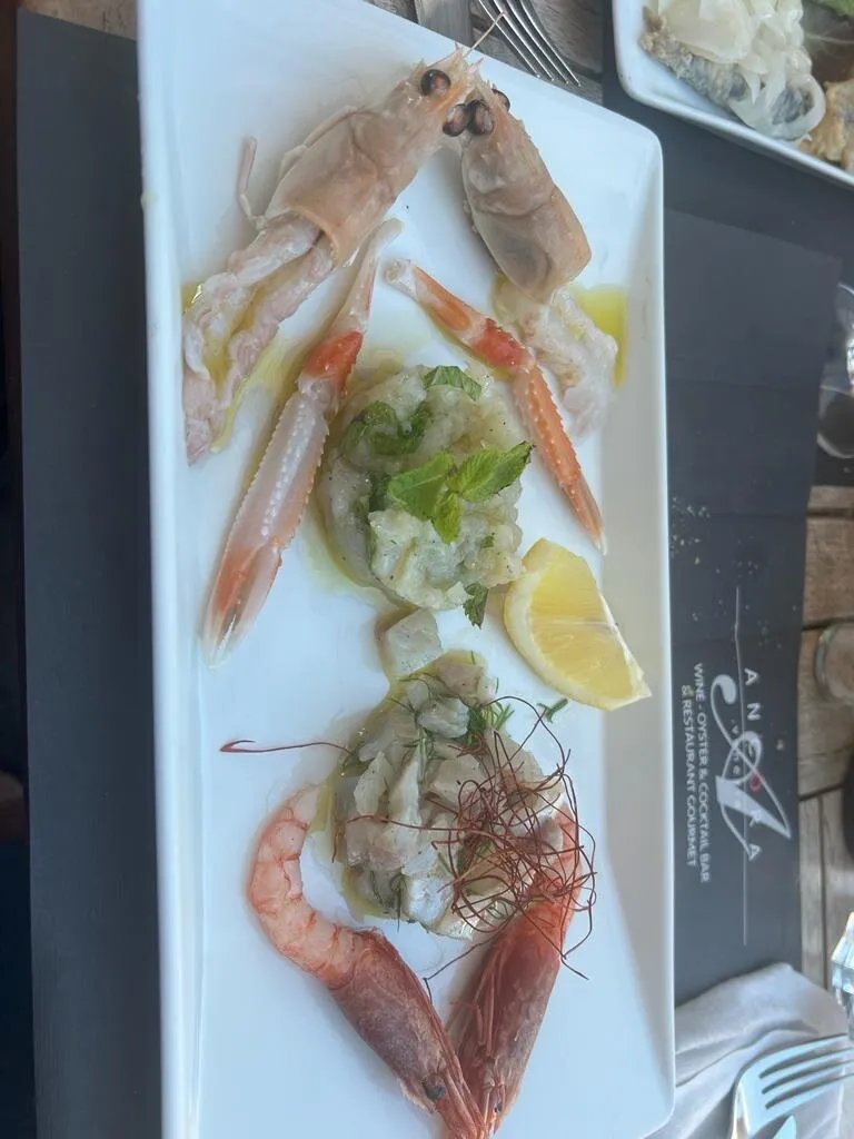 Ancora