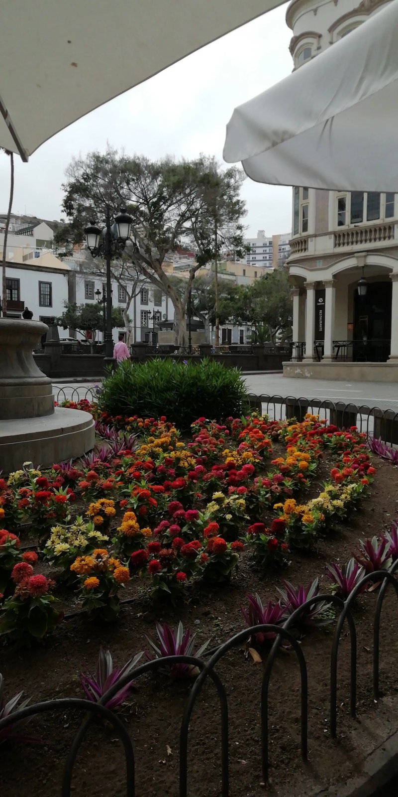 Cafe Madrid