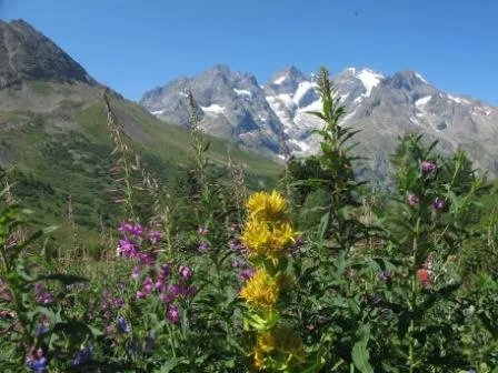 Jardin Botanique Alpin du Lautaret
