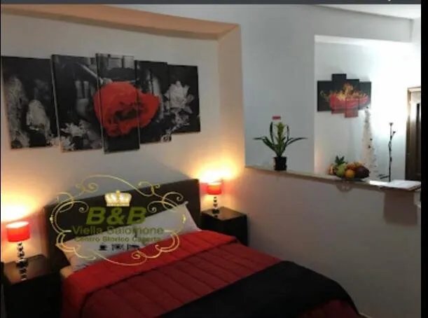 B&B Viella Salomone