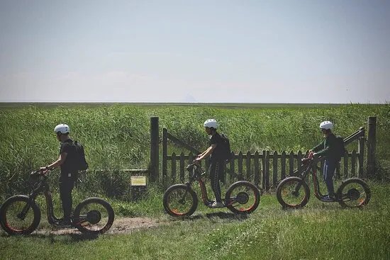 TROTT'IN FRANCE