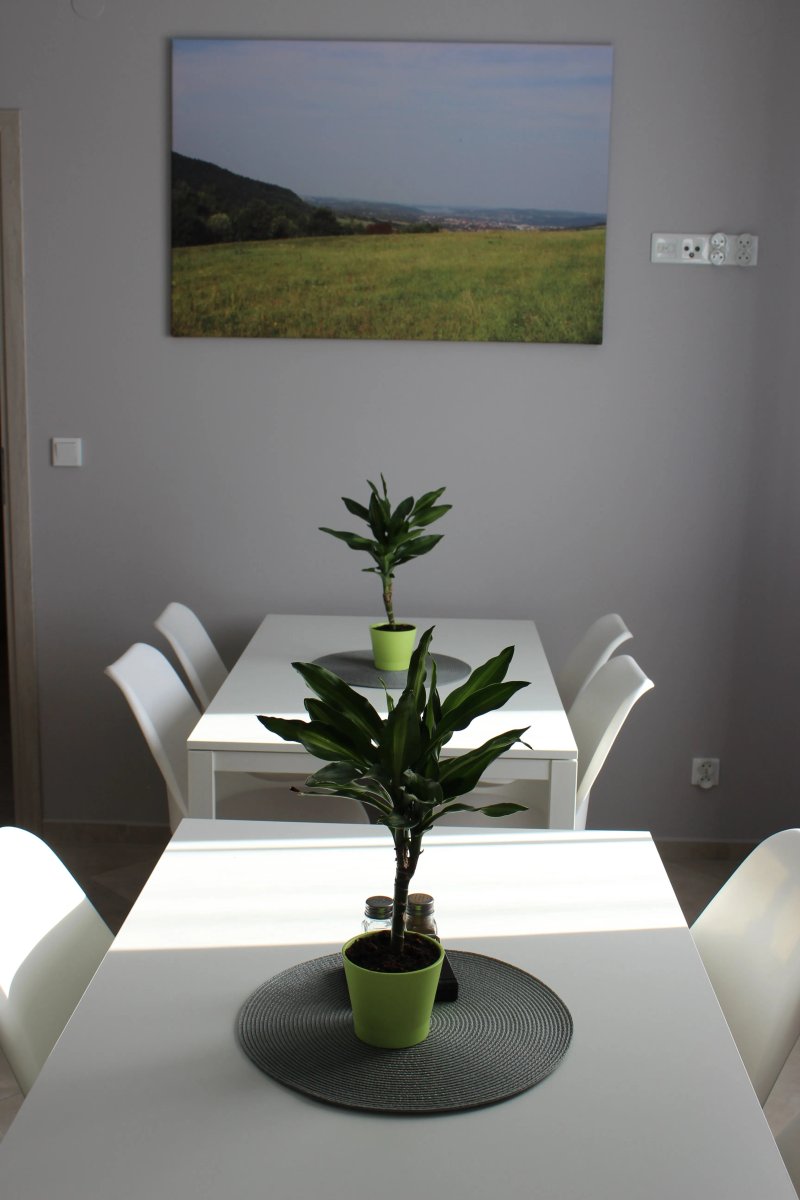 Guest House Dwor Bysina