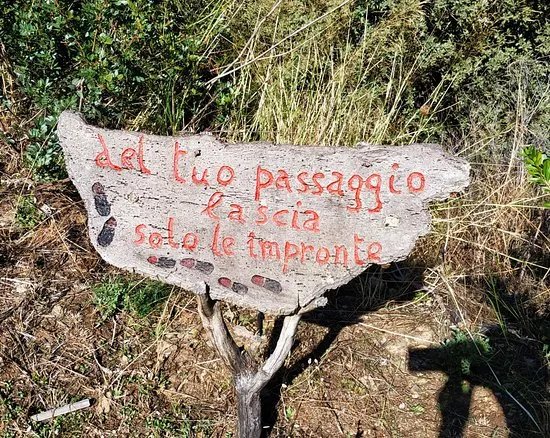 Fonte Sacra Su Tempiesu
