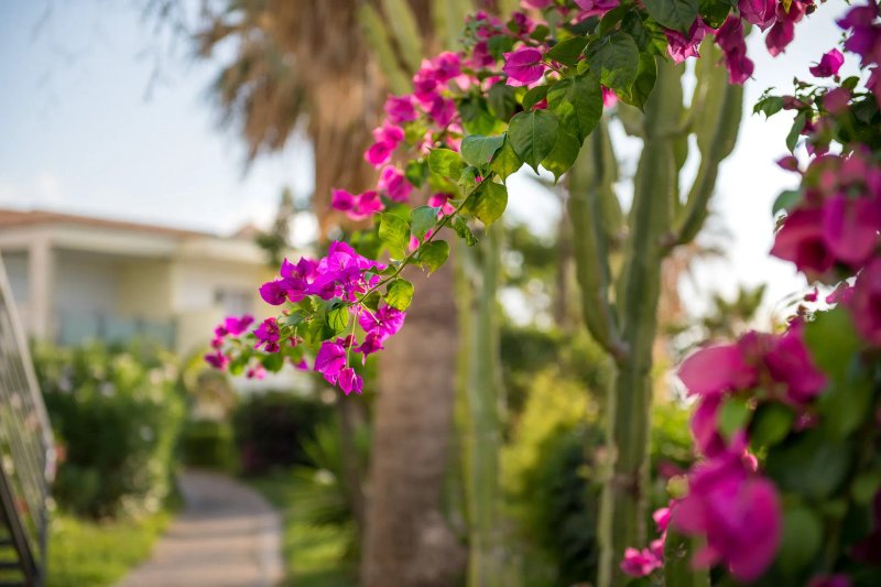 Hotel Villaggio Stromboli