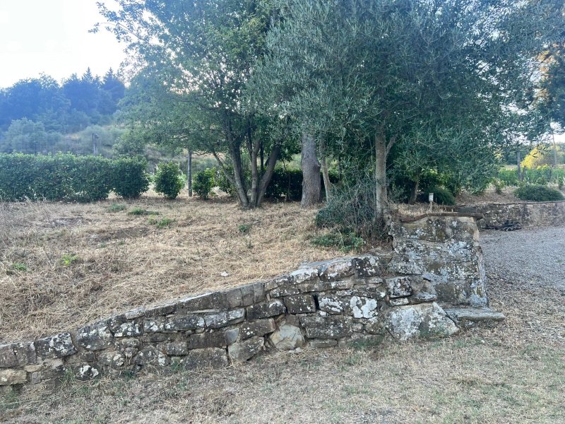 Agriturismo Casa Al Bosco