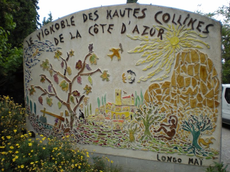 The Frogs' House