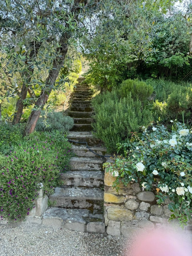 Villa il Colto
