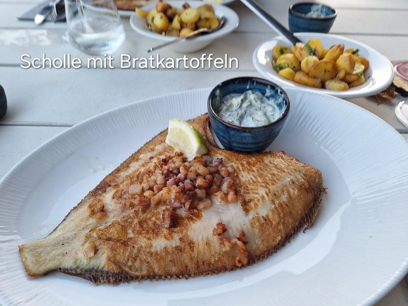 The Newport - Restaurant & Marina