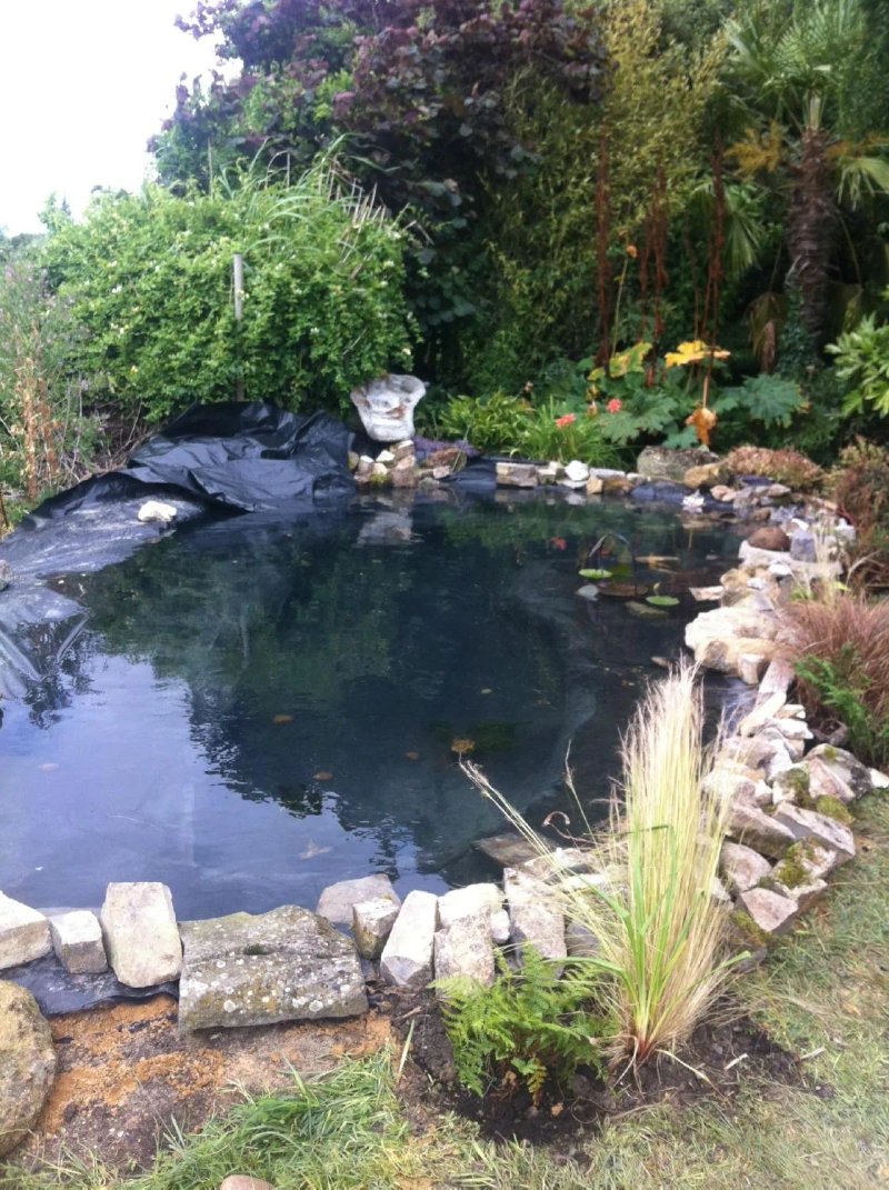 Hope Cottage Tours