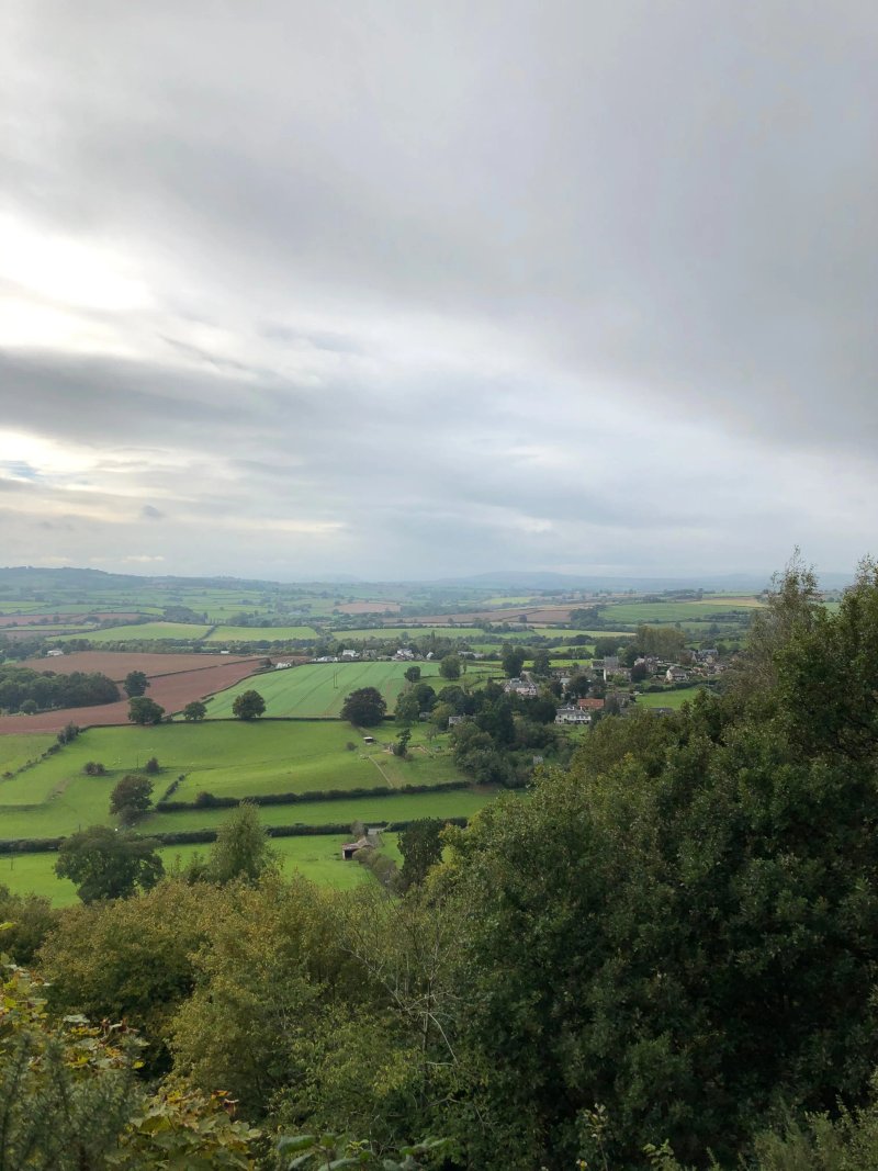 Coppett Hill