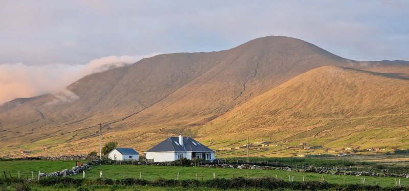 Coill An Rois