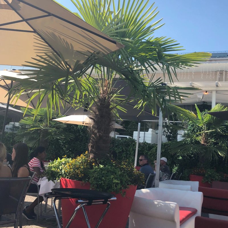 Restaurant Dolce Vita