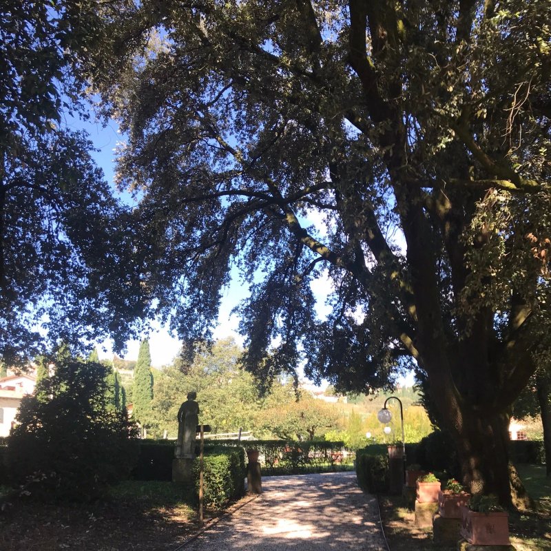 Hotel Villa Giona