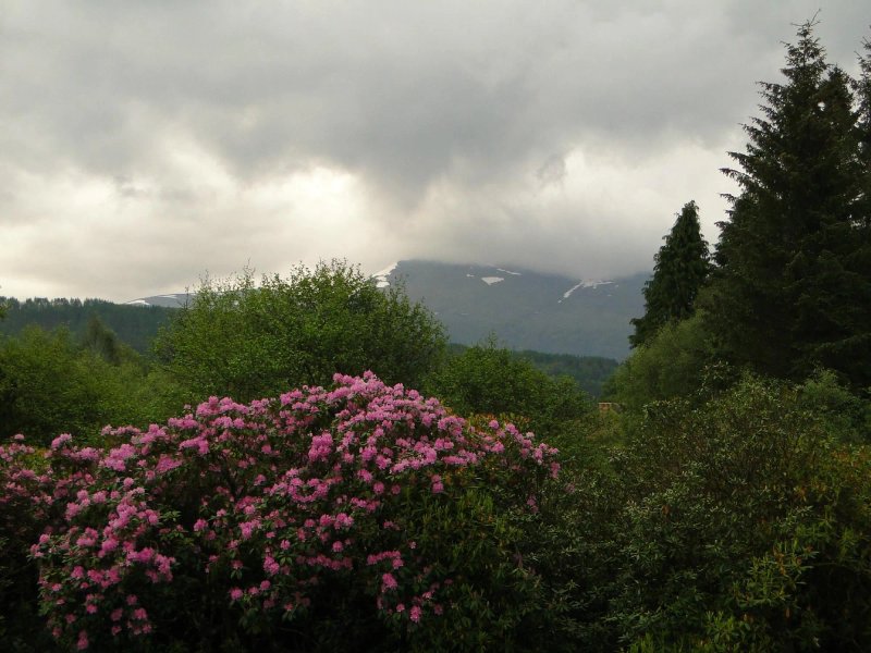 Glenloy Lodge Guest House
