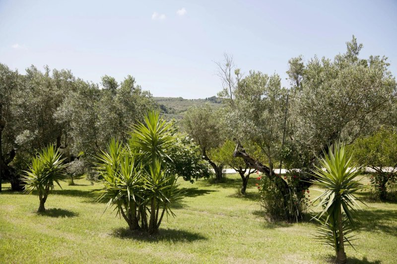 Agriturismo Costantino