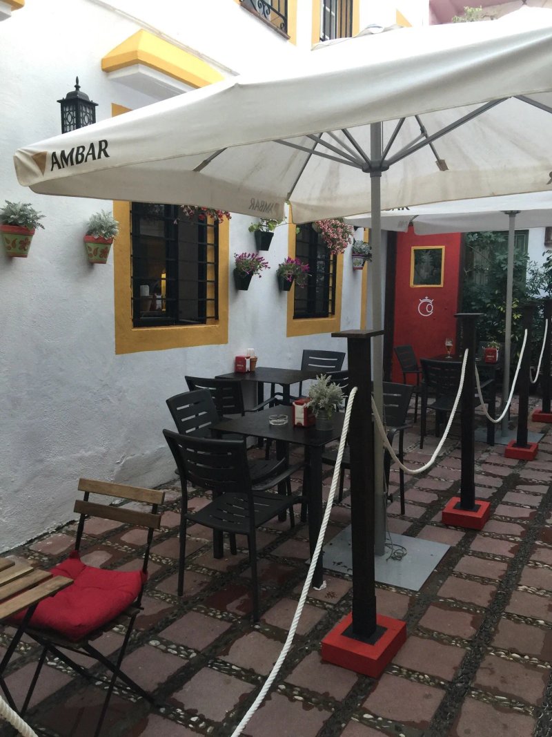 Bistro-bar El Albero bodega