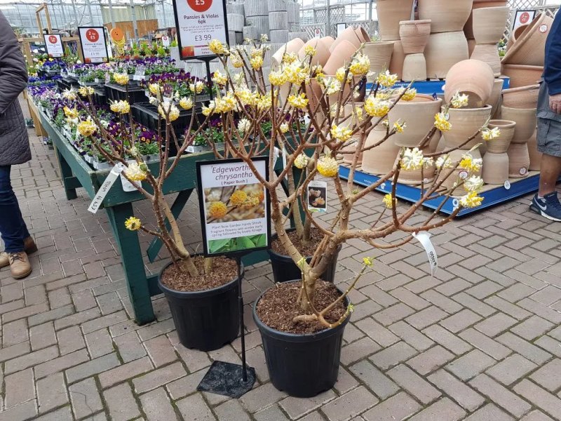 Otter Nurseries of Lymington